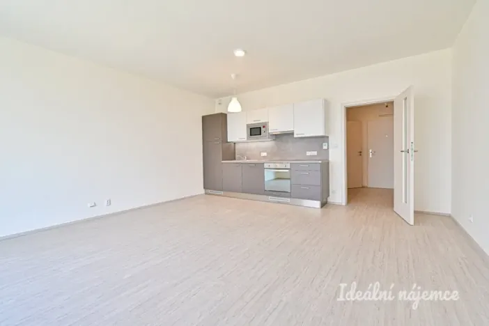 Pronájem bytu 1+kk, Brno, Sportovní, 39 m2