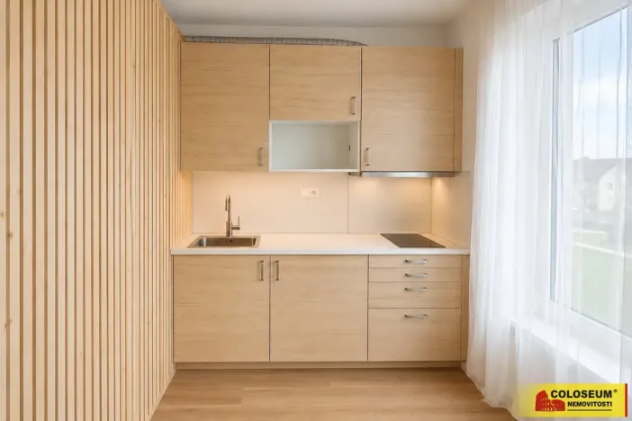 Pronájem bytu 1+kk, Brno - Staré Brno, 27 m2