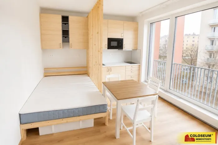 Pronájem bytu 1+kk, Brno - Staré Brno, 27 m2