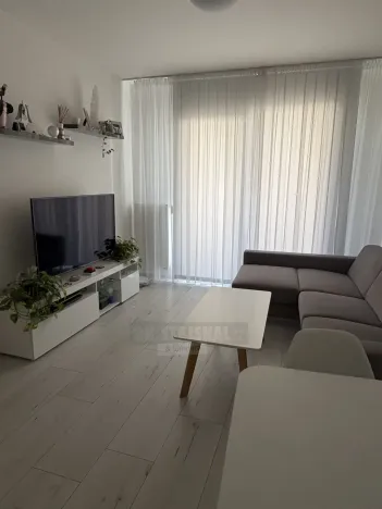 Pronájem bytu 3+kk, České Budějovice - České Budějovice 2, Na Zlaté stoce, 65 m2