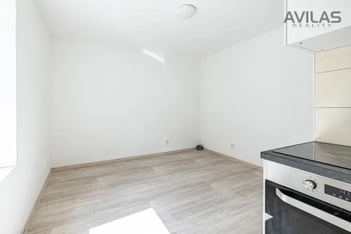 Pronájem bytu 1+kk, Zvěstov - Roudný, 27 m2