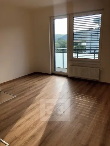 Pronájem bytu 1+kk, Praha - Hodkovičky, Šífařská, 40 m2