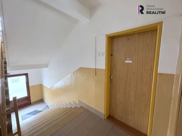 Pronájem bytu 2+1, Ostrov, S. K. Neumanna, 56 m2
