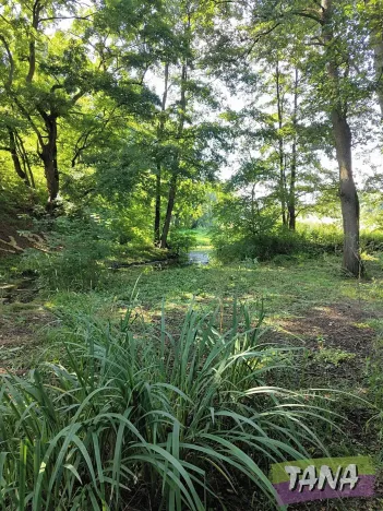 Prodej pozemku, Březina, 842 m2