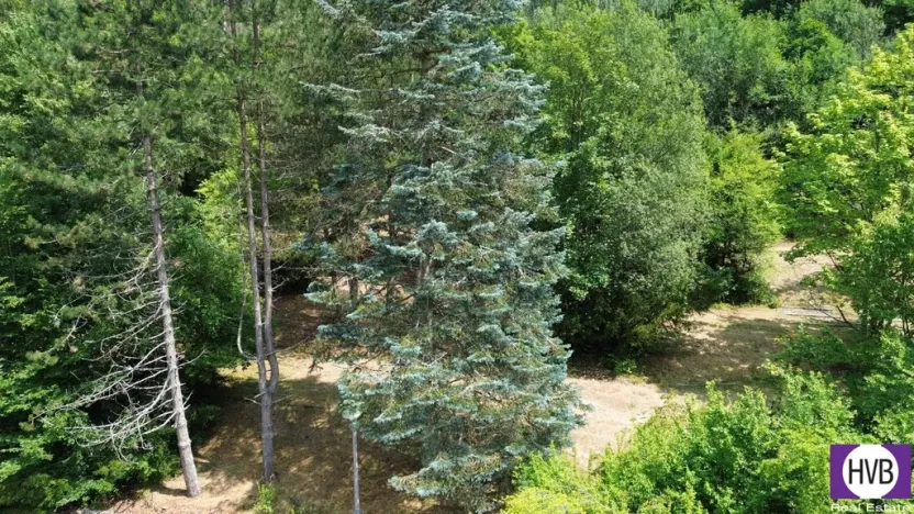 Prodej chaty, Šternberk - Dalov, 798 m2