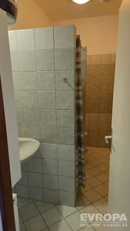 Pronájem bytu 1+kk, Mrsklesy, 21 m2