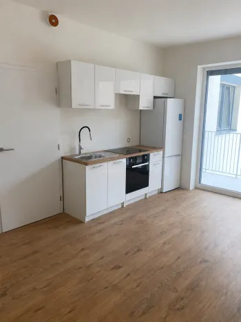 Pronájem bytu 1+kk, Brno, Křenová, 28 m2