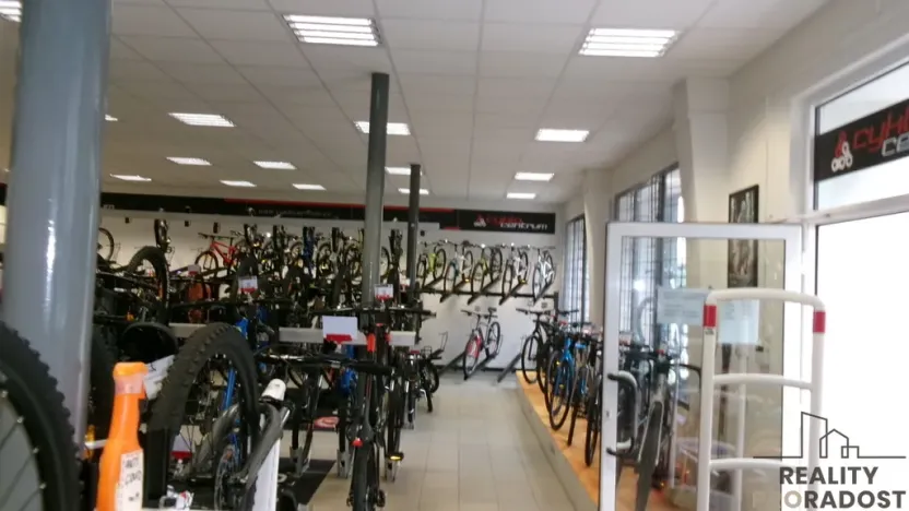 Pronájem obchodního prostoru, Brno, Vodní, 403 m2
