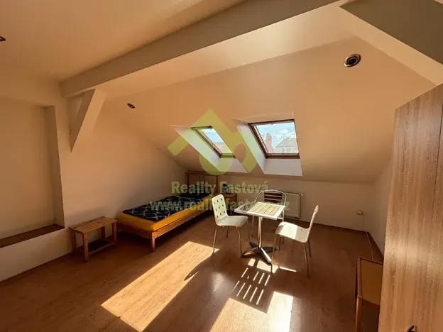 Prodej vícegeneračního domu, Plzeň, 776 m2