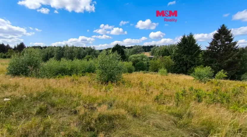 Prodej louky, Mikuleč, 748 m2