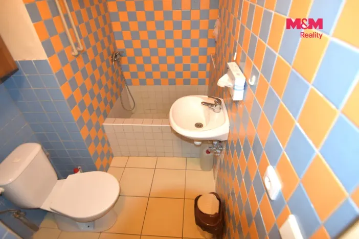 Pronájem obchodního prostoru, Mladá Boleslav - Mladá Boleslav II, Lukášova, 44 m2