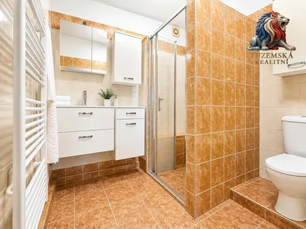 Prodej vícegeneračního domu, Šternberk, Tolstého, 201 m2