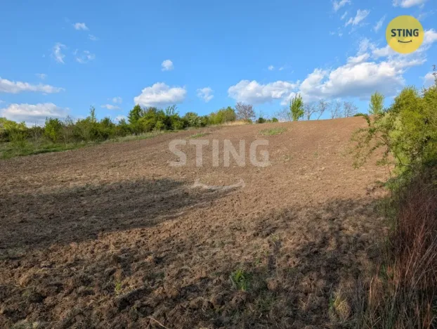 Prodej zahrady, Nosislav, 4322 m2