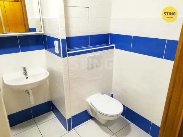 Pronájem bytu 1+1, Přerov, U Tenisu, 39 m2