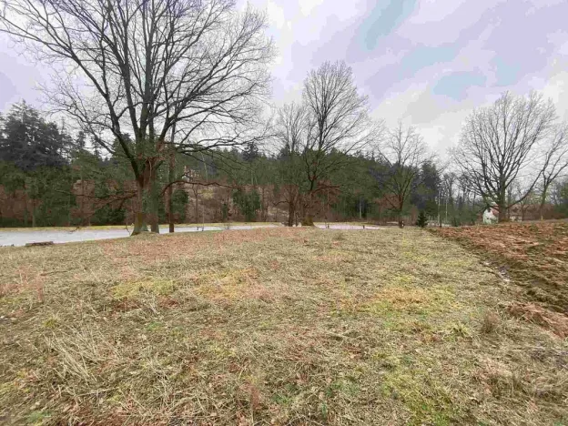 Prodej pozemku, Drahonice - Albrechtice, 2121 m2