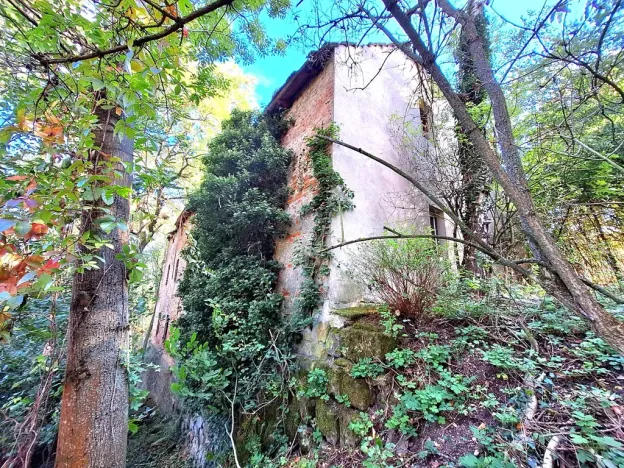 Prodej zemědělské usedlosti, Kanina, 500 m2