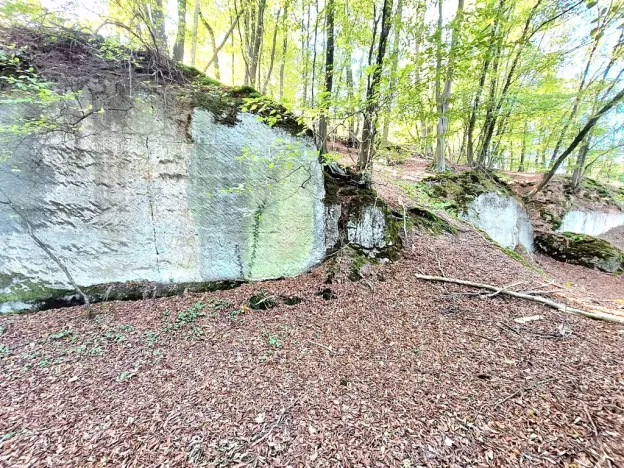Prodej zemědělské usedlosti, Kanina, 500 m2