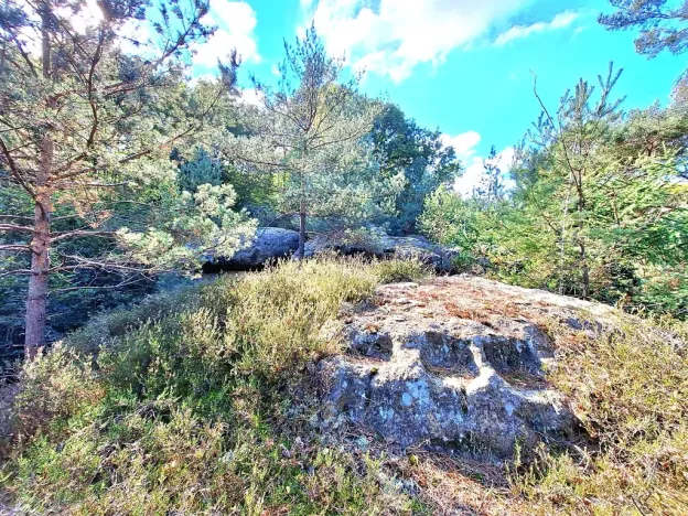 Prodej zemědělské usedlosti, Kanina, 500 m2