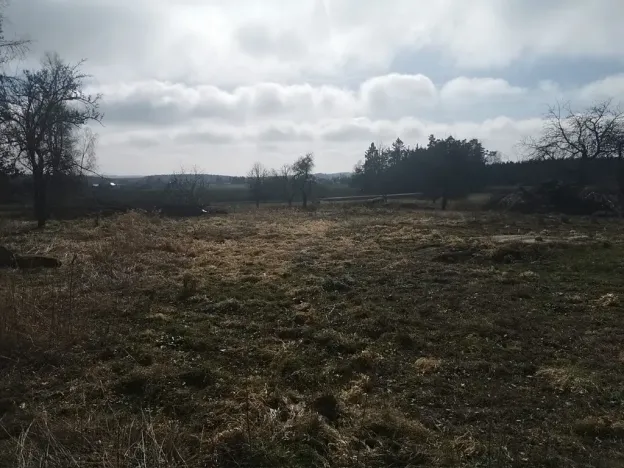 Prodej komerčního pozemku, Litschau, Rakousko, Schandacher Straße, 32000 m2