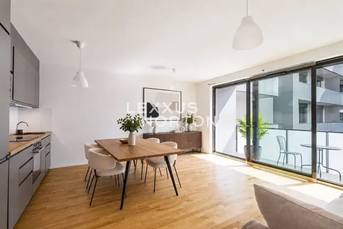 Pronájem bytu 1+kk, Praha - Žižkov, U Viktorie, 40 m2