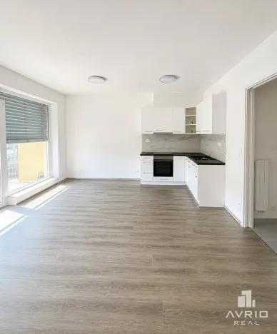 Pronájem bytu 1+kk, Brno, Ondřeje Sekory, 41 m2
