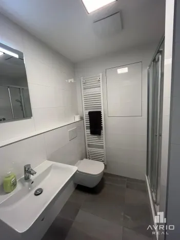 Pronájem bytu 1+kk, Brno, Ondřeje Sekory, 41 m2