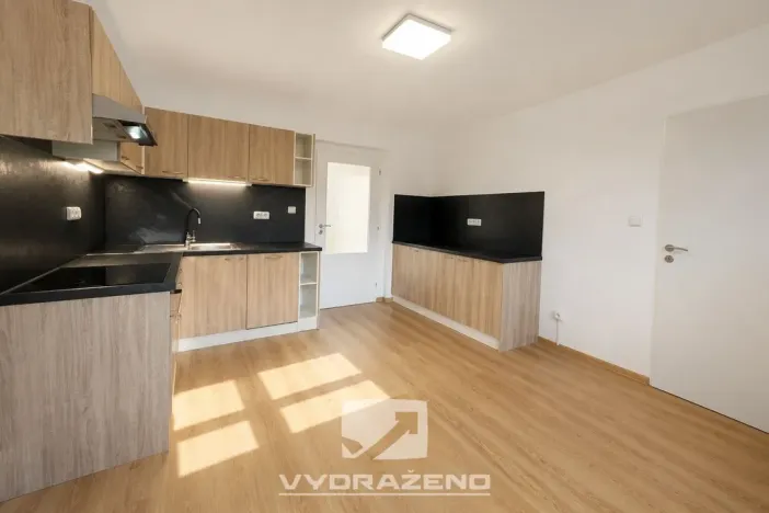 Prodej bytu 6+kk a větší, Stará Paka - Ústí, 300 m2