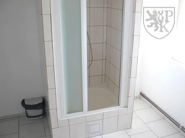 Prodej rodinného domu, Varvažov - Štědronín-Plazy, 1540 m2