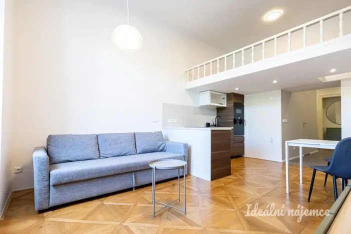 Pronájem bytu 1+kk, Praha - Karlín, Karlínské náměstí, 48 m2