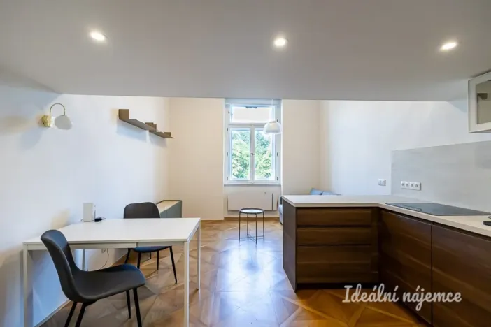Pronájem bytu 1+kk, Praha - Karlín, Karlínské náměstí, 48 m2