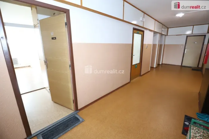 Pronájem bytu 1+kk, Karlovy Vary - Rybáře, U Koupaliště, 27 m2