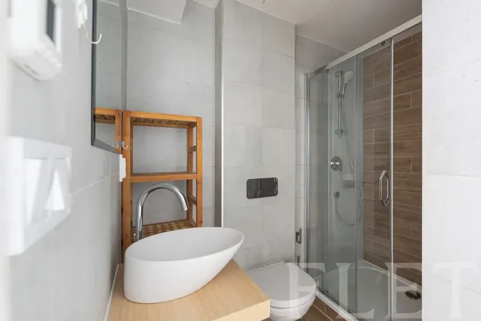 Pronájem bytu 1+kk, Praha - Žižkov, Slavíkova, 27 m2