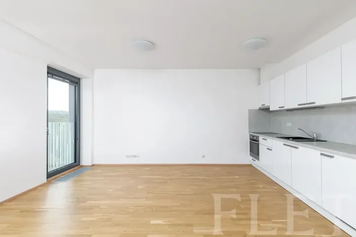 Pronájem bytu 1+kk, Praha - Žižkov, Olšanská, 36 m2