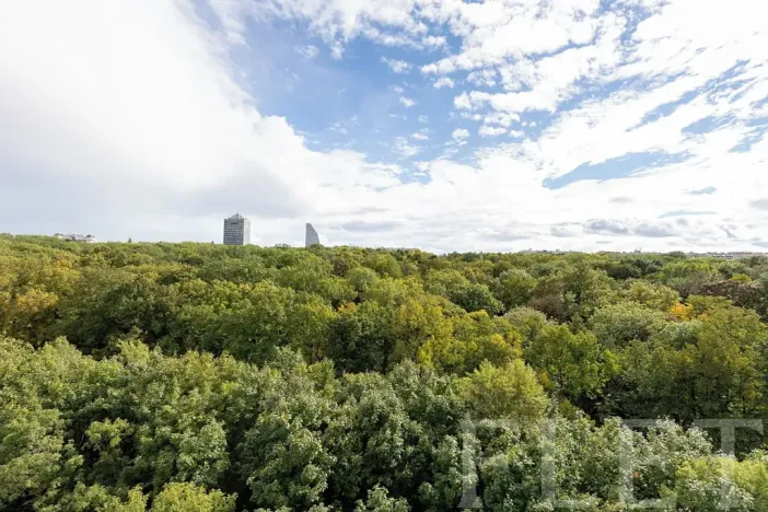 Pronájem bytu 1+kk, Praha - Žižkov, Olšanská, 36 m2