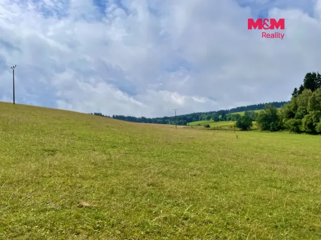 Prodej louky, Bartošovice v Orlických horách, 22170 m2