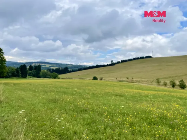Prodej louky, Bartošovice v Orlických horách, 22170 m2