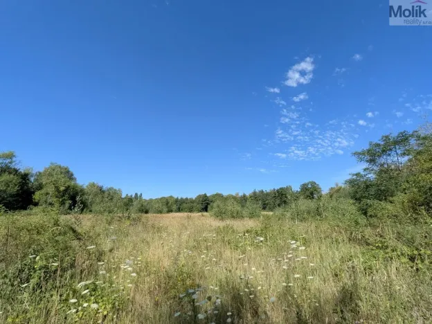 Prodej pozemku pro bydlení, Mariánské Radčice, Československé armády, 1155 m2