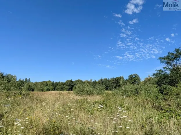 Prodej pozemku pro bydlení, Mariánské Radčice, Československé armády, 1155 m2