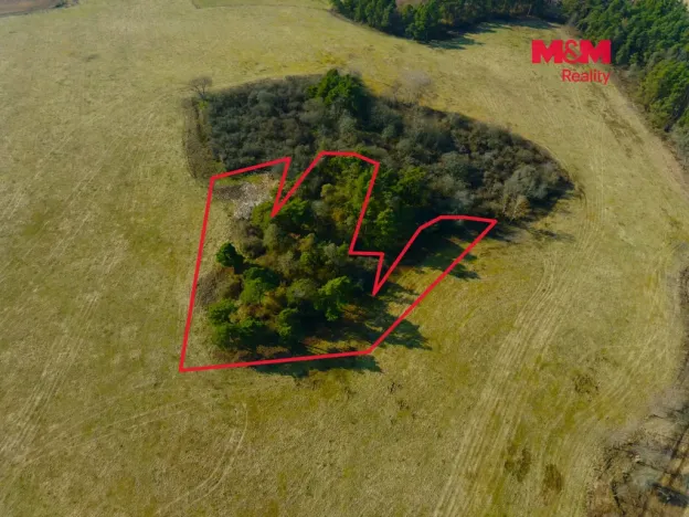 Prodej pole, Kladruby - Vrbice u Stříbra, 15633 m2