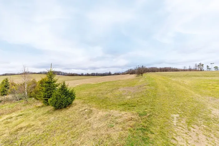 Prodej pozemku pro bydlení, Újezd u Boskovic, 17205 m2