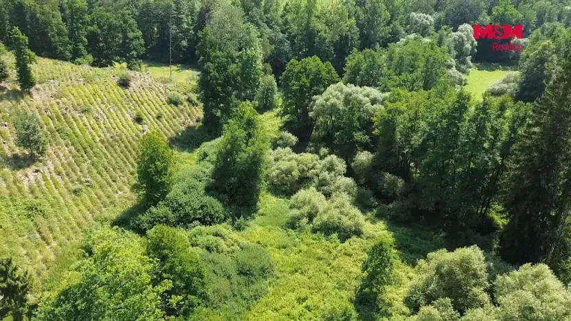 Prodej rybníku, Dolní Hořice - Pořín, 8552 m2