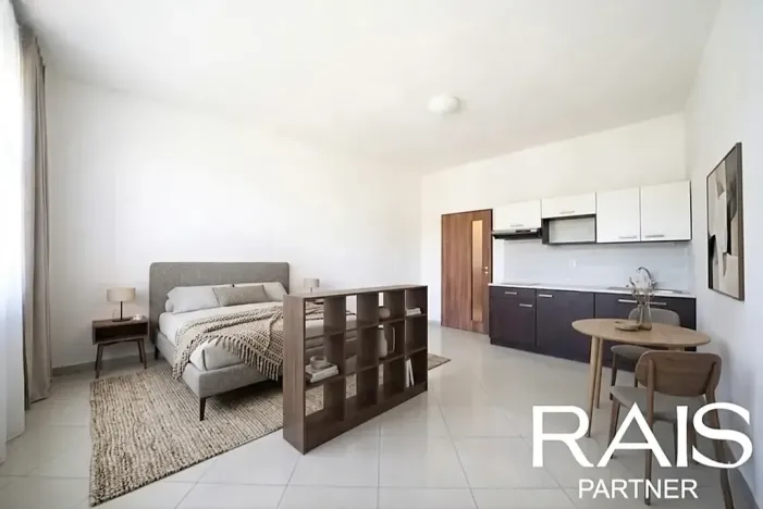 Prodej bytu 1+kk, Brno, Svitavská, 30 m2