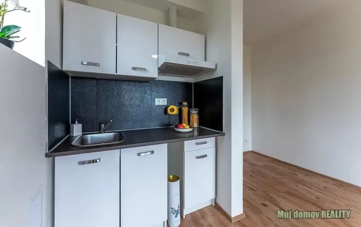 Pronájem bytu 1+kk, Praha - Břevnov, Na břevnovské pláni, 27 m2
