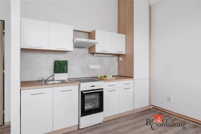 Pronájem bytu 2+kk, Mlékojedy, 57 m2