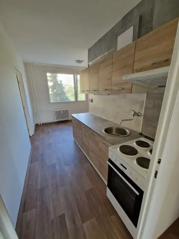 Pronájem bytu 2+1, Chomutov, Dřínovská, 66 m2