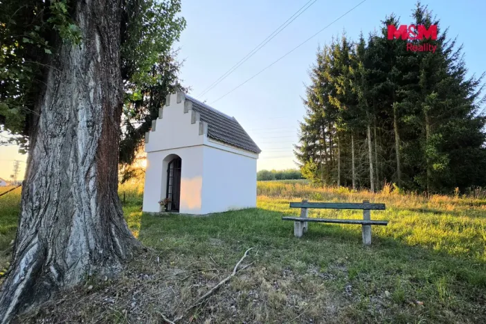 Prodej zahrady, Bělá nad Radbuzou, 6001 m2