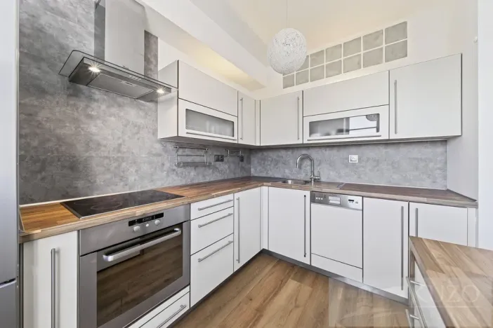 Prodej bytu 2+kk, Plzeň - Jižní Předměstí, U Radbuzy, 57 m2