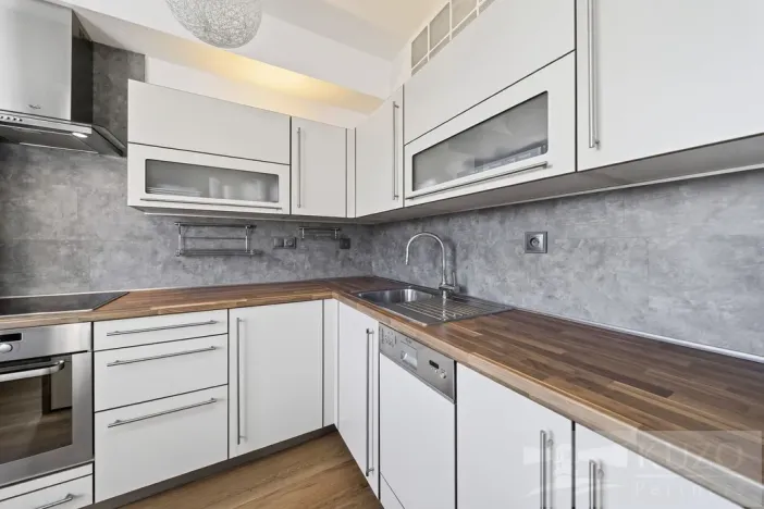 Prodej bytu 2+kk, Plzeň - Jižní Předměstí, U Radbuzy, 57 m2
