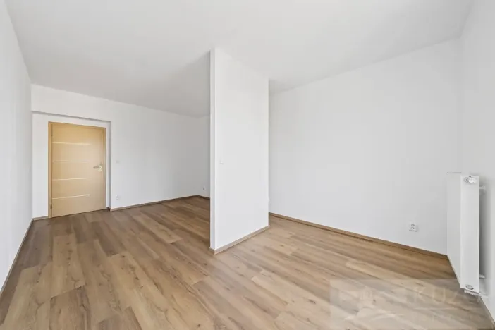 Prodej bytu 2+kk, Plzeň - Jižní Předměstí, U Radbuzy, 57 m2