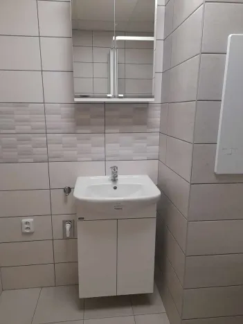 Pronájem bytu 1+1, Frýdek-Místek, K Hájku, 46 m2